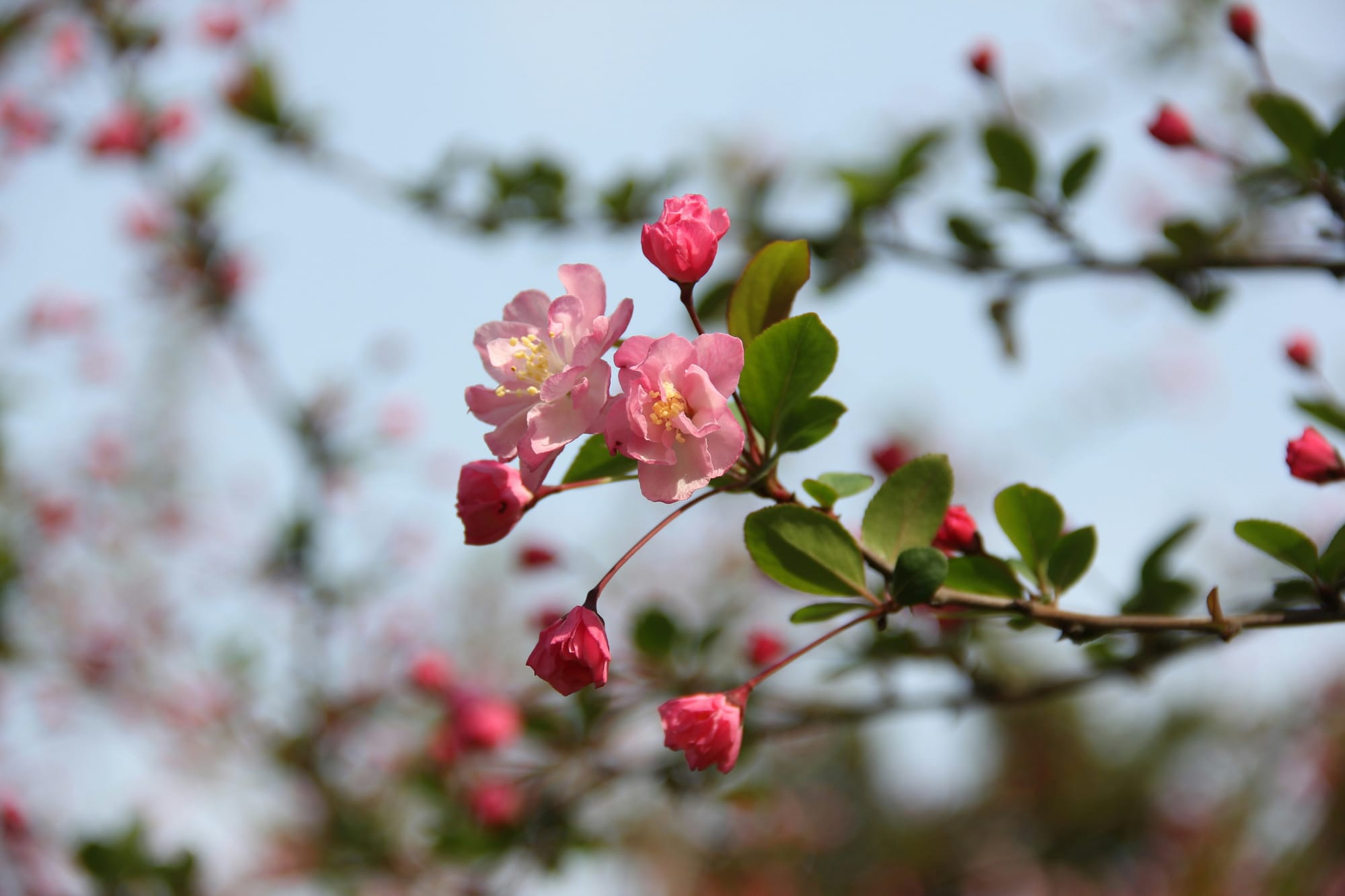7 Questions To Help You Prepare For A Big Change