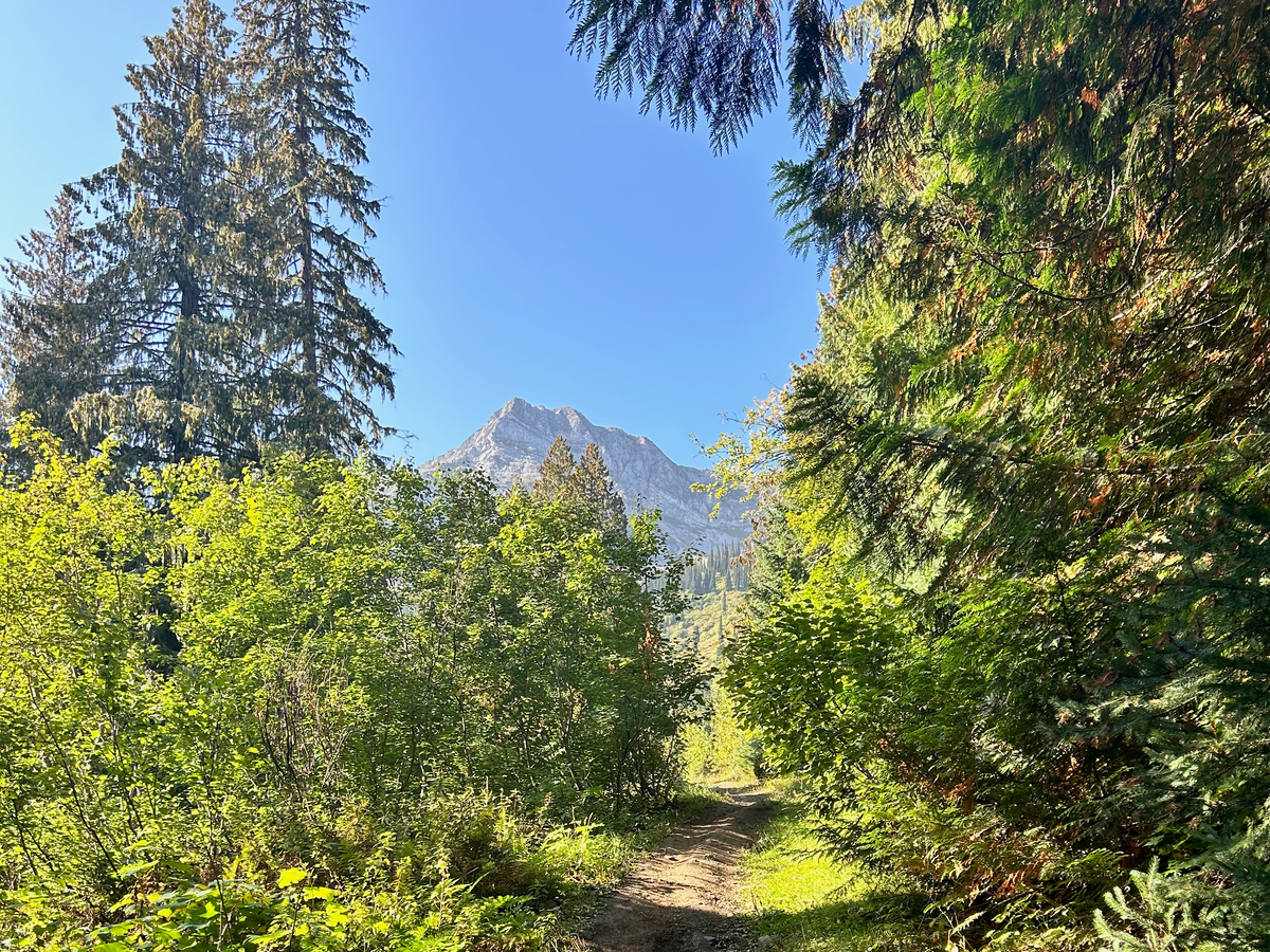 The Most Popular Every Intention Articles in 2025