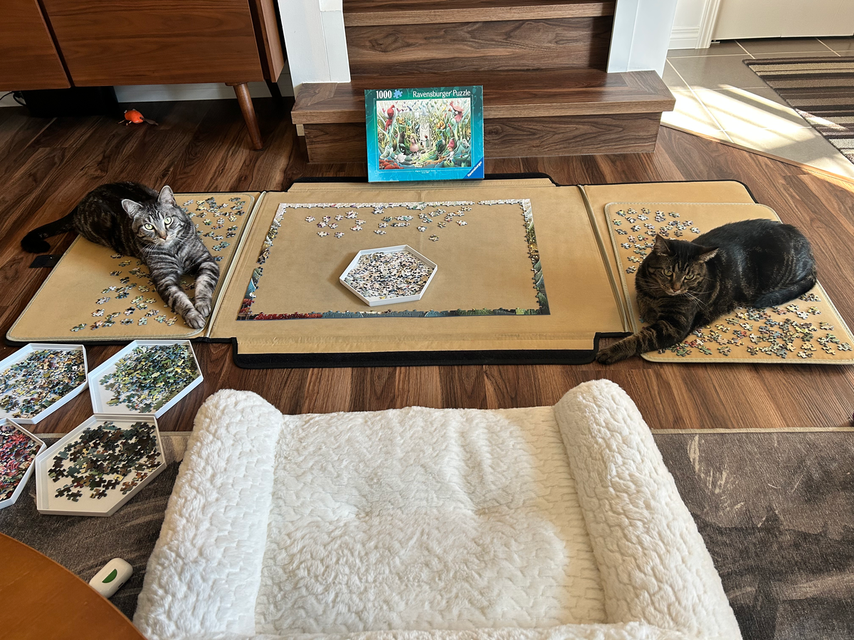 Not An Annual Reflection