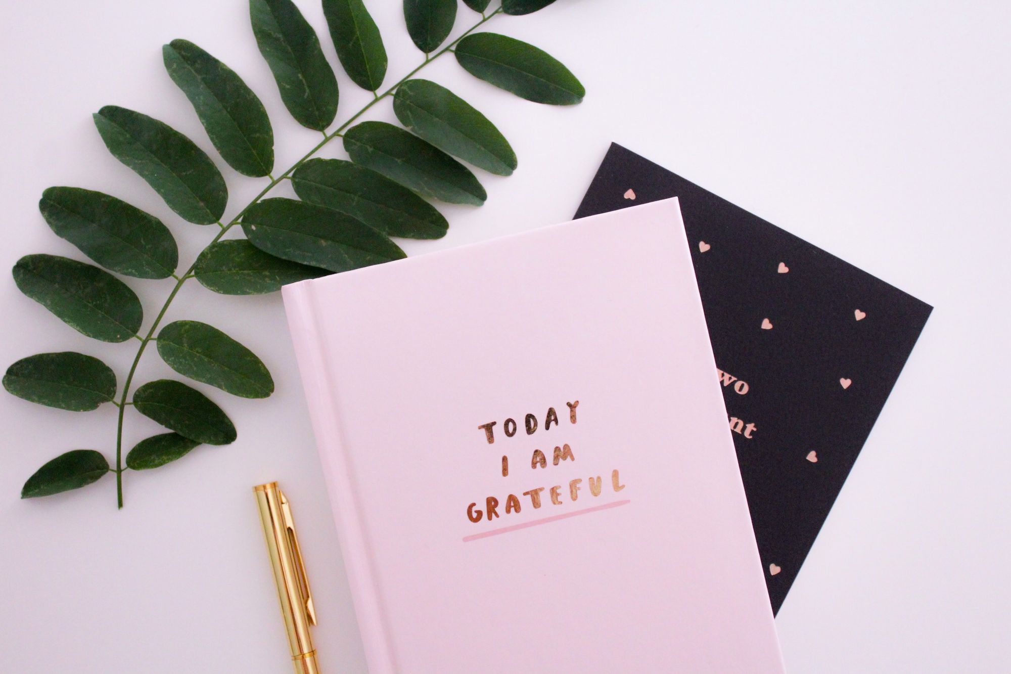 Practicing Intentional Gratitude