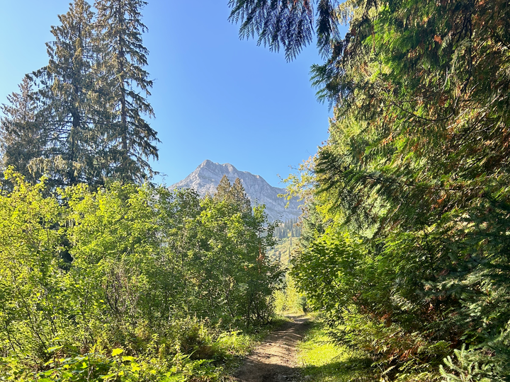 The Most Popular Every Intention Articles in 2025